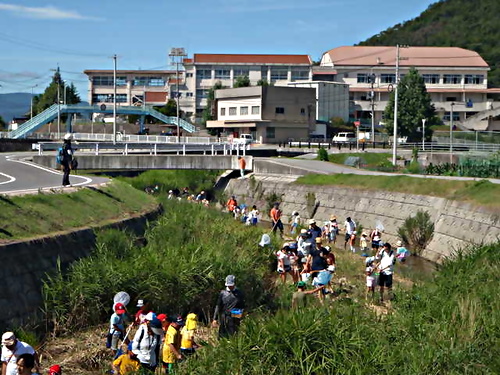 アイキャッチ: 松板川を探る会 27