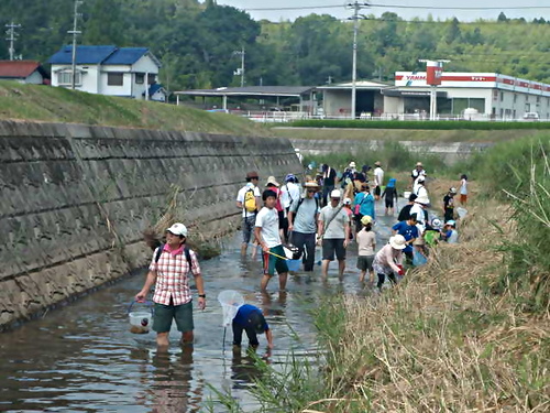 アイキャッチ: 松板川を探る会28