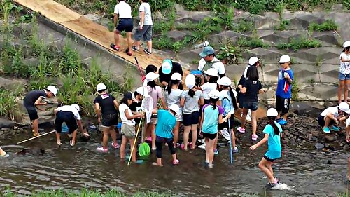 アイキャッチ: 寺西小学校 4年生 黒瀬川探検のお手伝い