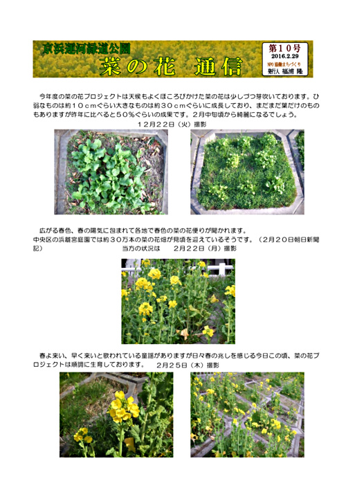 画像: 菜の花通信_第１０号.pdf