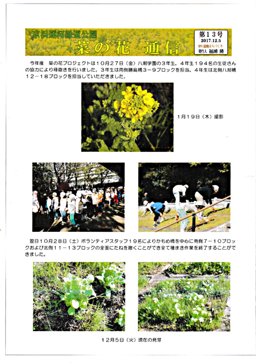 画像: 菜の花通信第１３号.pdf