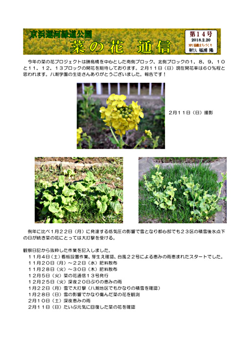 画像: 菜の花通信_第１４号a.pdf