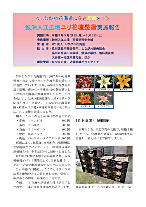 画像: 20210605　鮫洲入江広場　ユリ根植栽報告書UP用.pdf