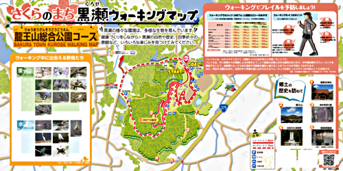 アイキャッチ: 龍王山総合公園コース