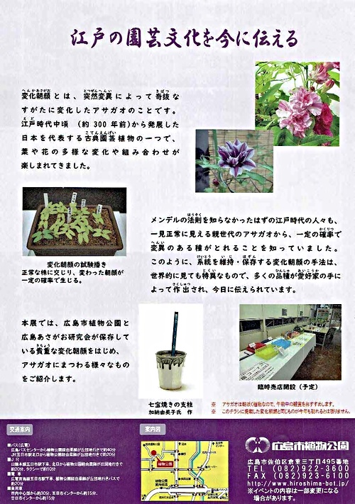 変化朝顔展 広島市植物公園 広島県広島市佐伯区 イベント