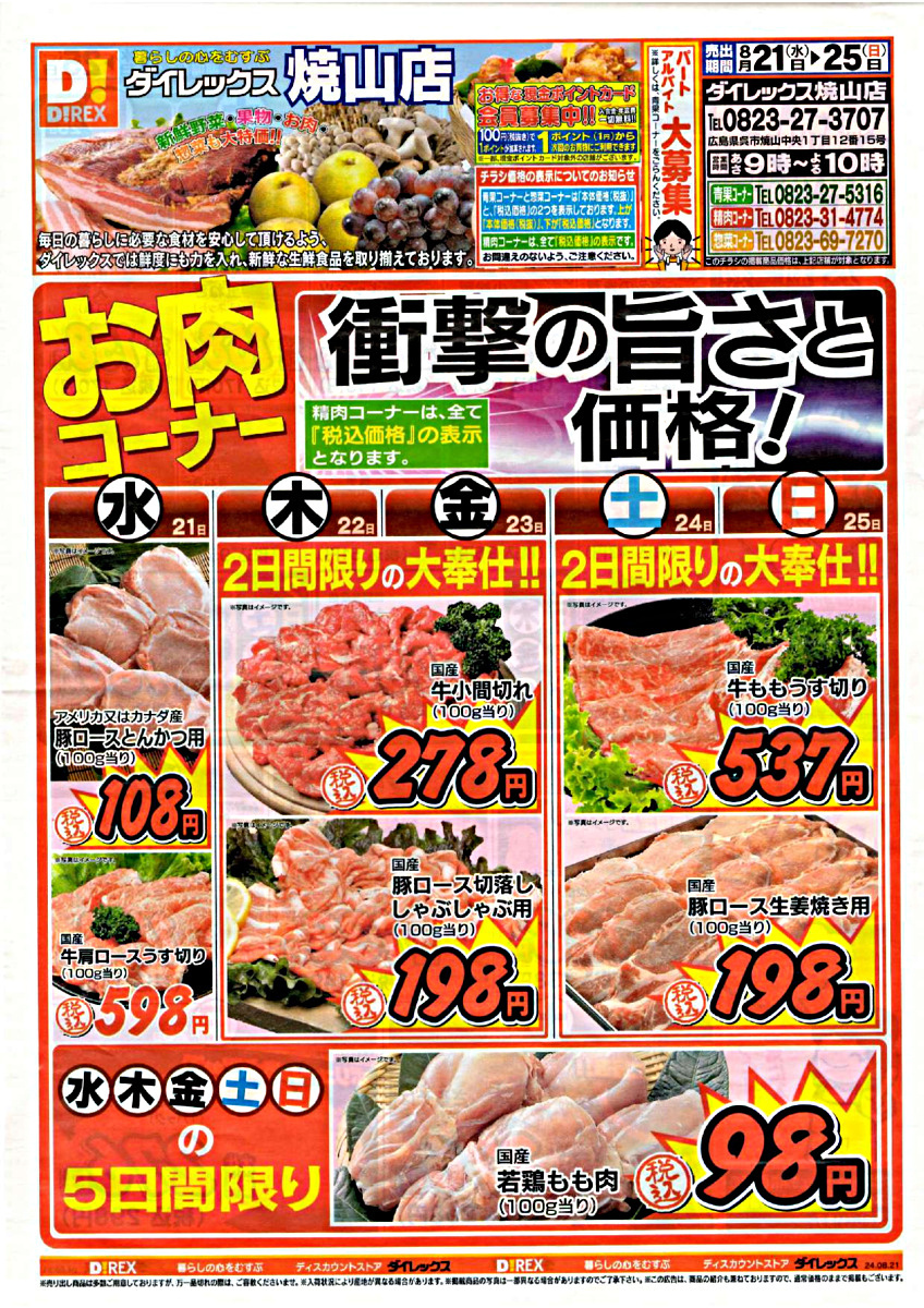 ダイレックス焼山店　チラシ