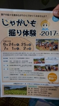 じゃがいも掘り体験2017