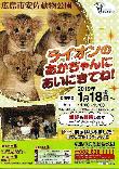 ライオンのあかちゃんに会いにきてね! 安佐動物公園