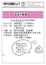山登り~ブナ林の新緑~