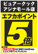 本日ピュアークックはポイント5倍!