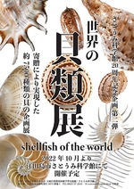 世界の貝類展