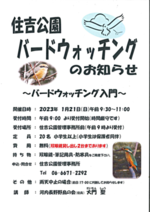 バードウオッチング入門